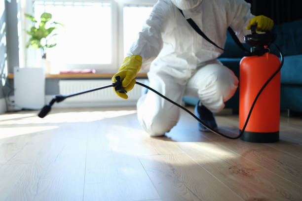 Reliable Biohazard Cleanup contractor in Grant, MI by Dulley Family Biohazard Services